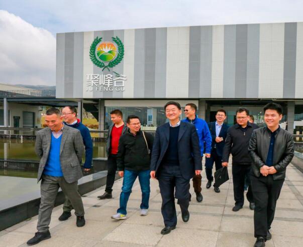 集团党委书记、董事长任丁率队调研聚峰谷