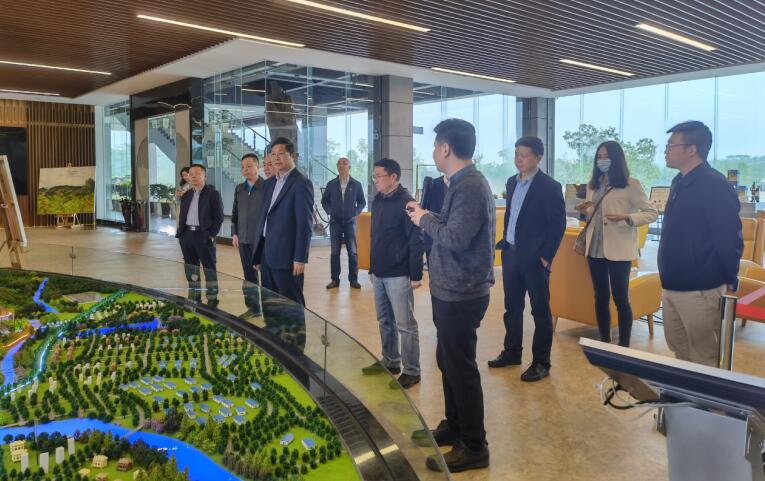 广西旅发集团党委书记、董事长容贤标考察集团文旅项目