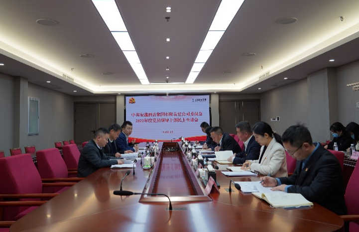尊龙凯时集团党委书记、董事长任丁出席安逸酒店集团2022年度党员领导干部民主生活会